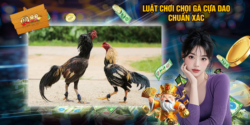 Luật chơi chọi gà cựa dao chuẩn xác