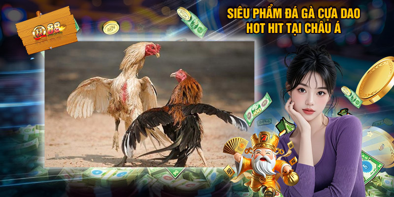 Giới thiệu đá gà cựa dao hấp dẫn tại QH88